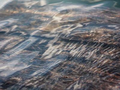 Item 253