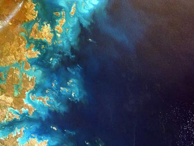 Item 514